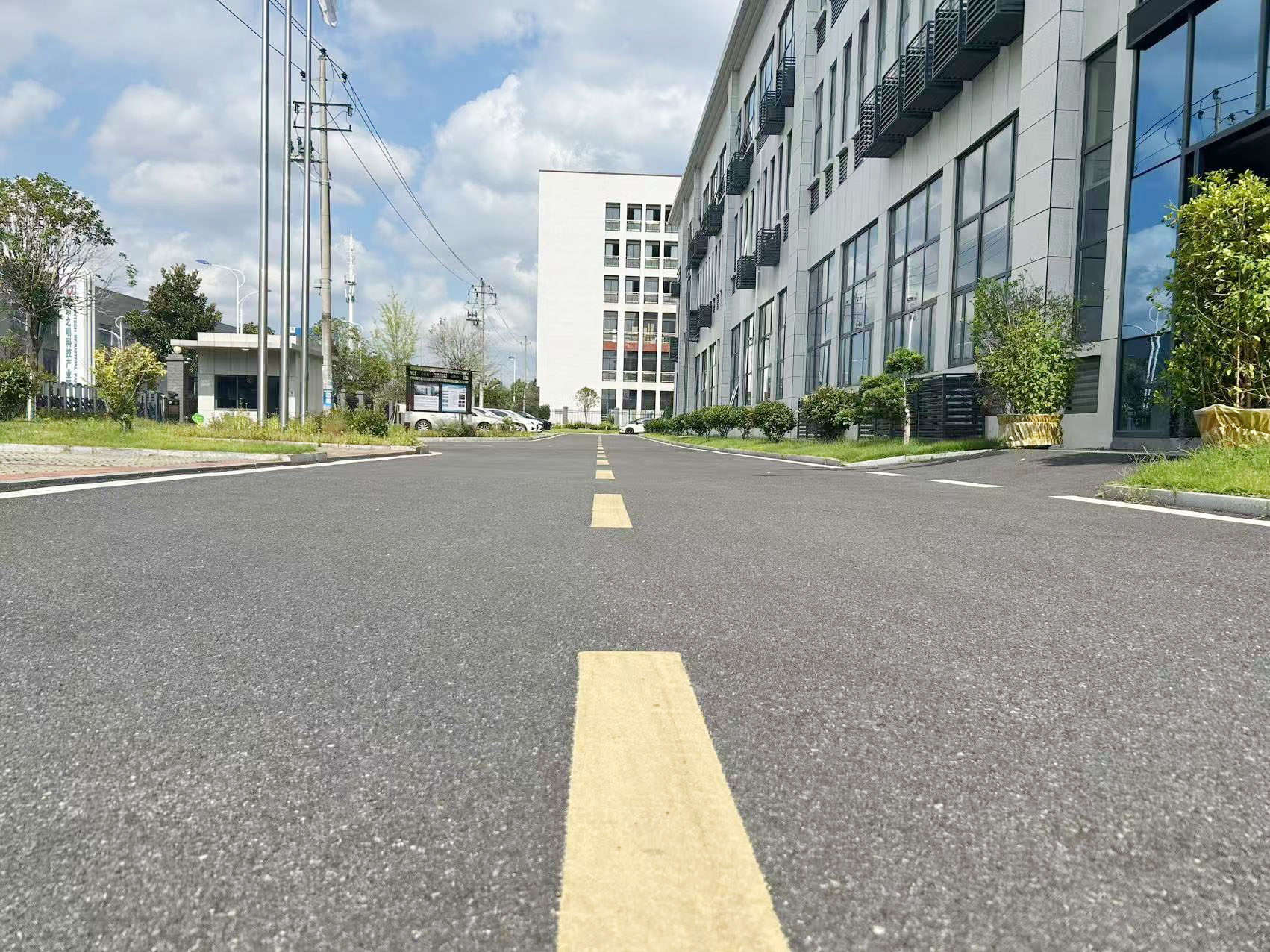 Main road in the park